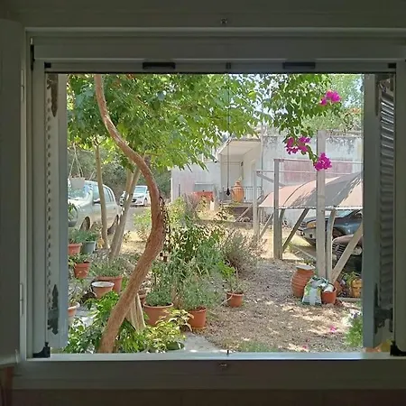 公寓 35m2 Close To